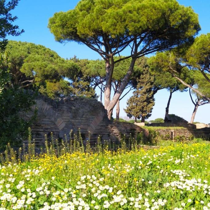 Per Antiqua Itinere Lägenhet Ostia Antica Exteriör bild